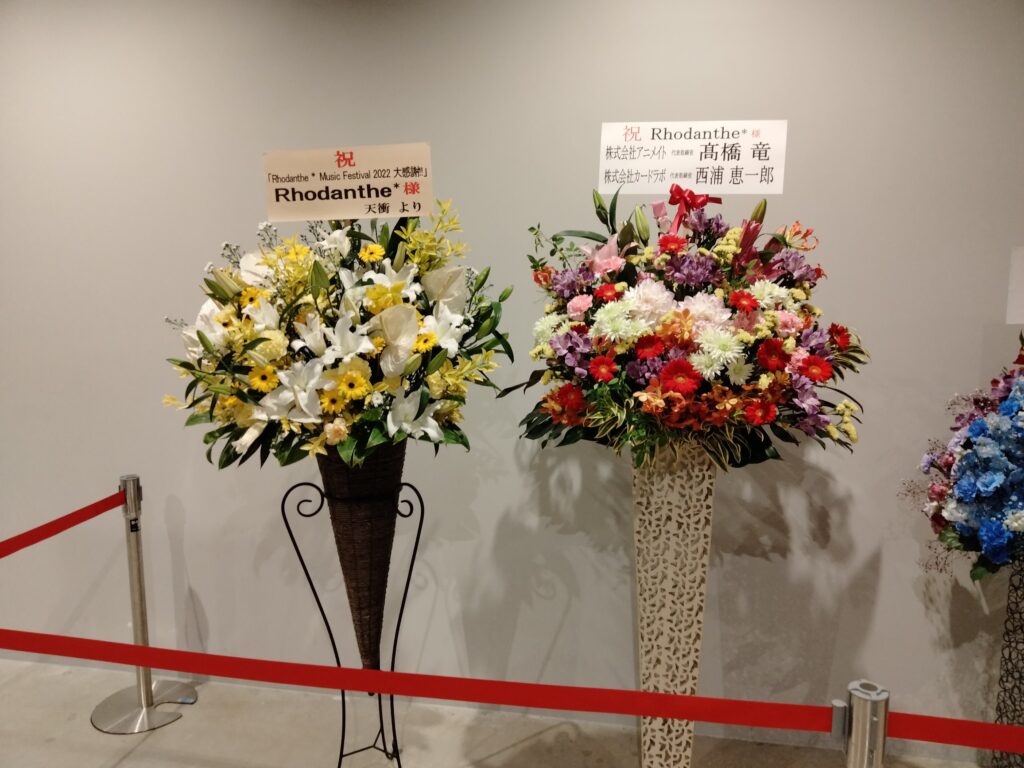 Rhodanthe* 祝花 その2